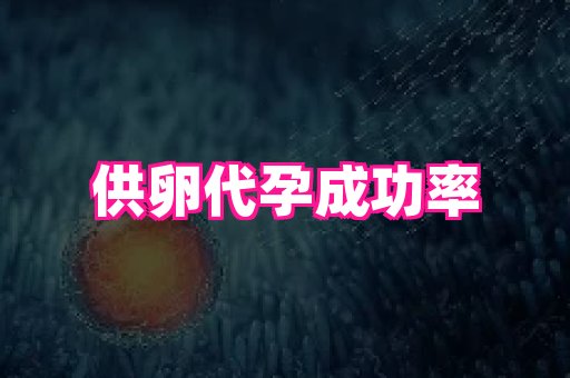 swisee孕网 1