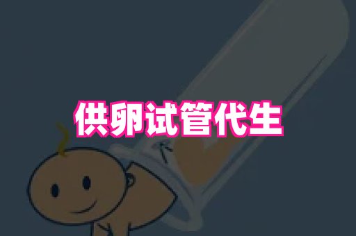 swisee孕网 2