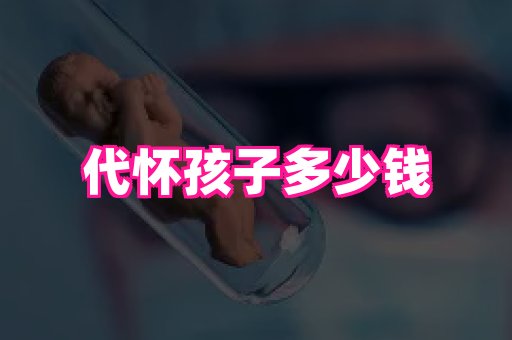 swisee孕网 3