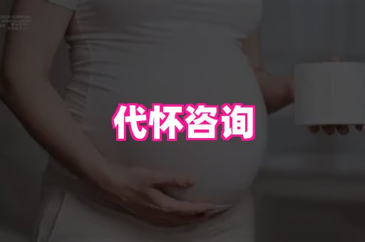 swisee孕网 4